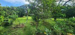 Seletar Garden (D28), Terrace #595441371